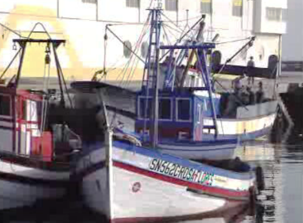 Proibição de apanha de bivalves