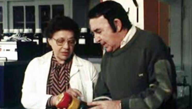 Produção de Queijo e as Técnicas de Ordenha em Portugal