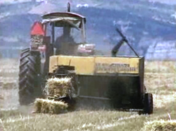 Indemnização pela Reforma Agrária