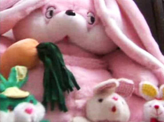 Tribunal de Família entrega criança ao pai homossexual