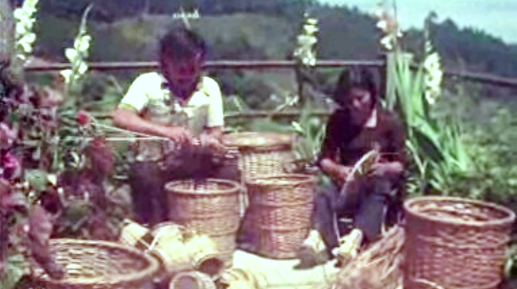 Cestos de vime da Ilha da Madeira