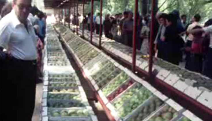 I Feira Nacional da Frutas nas Caldas da Rainha