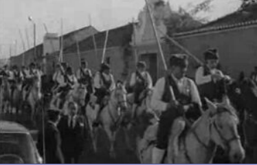 Feira de São Martinho na Golegã