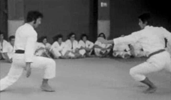 Artes Marciais, a Procura da Via Perfeita
