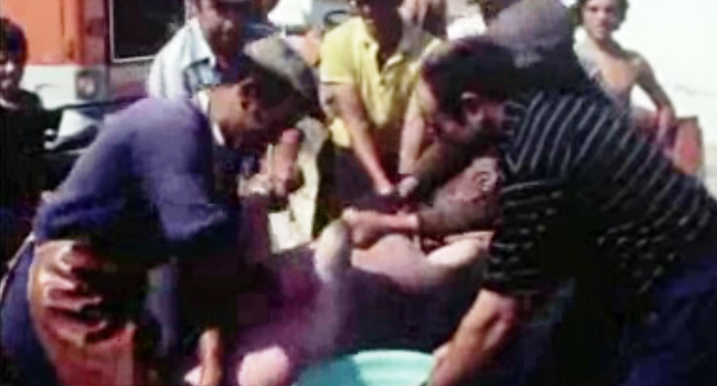 Matança do porco em Azenhas dos Tanoeiros