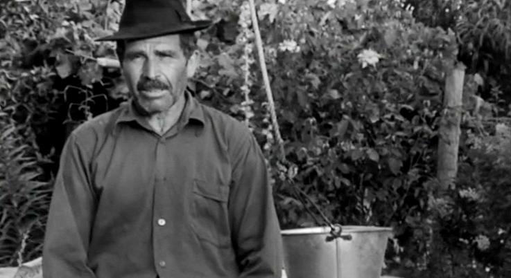 A Terra a quem a Trabalha – Parte II