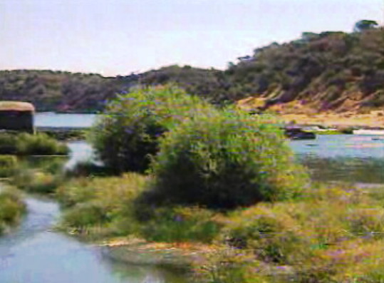 Reportagem sobre Ambiente em Portugal