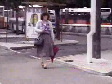 Início do Verão com mau tempo