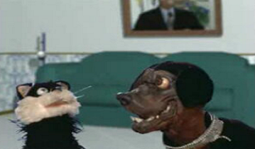 O Calendário da Selecção