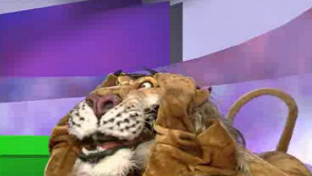 O Sporting não morre