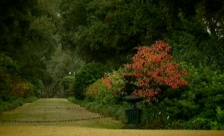 Melhores momentos dos últimos quatro anos