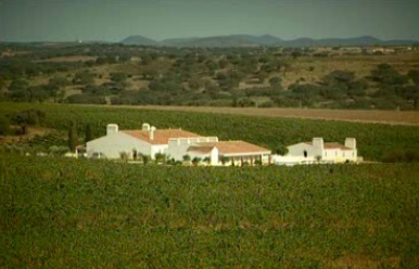 Herdade do Sobroso e Monte da Raposinha