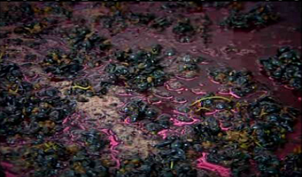 Quinta de Nápoles e Quinta da Carvalha