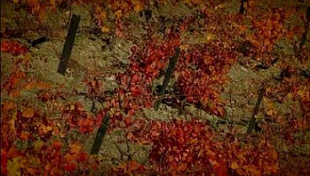 Quinta do Crasto e Quinta da Gaivosa