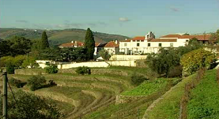 Quinta de Noval e Casa de Rozès
