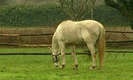 Duas Quintas e Quinta de Reis