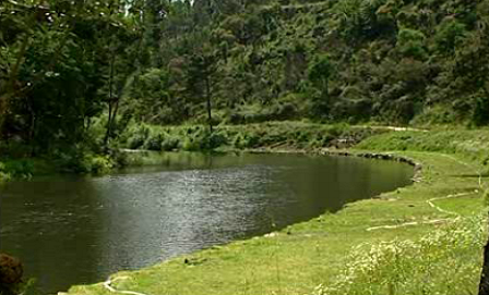 Enoturismo em Guimarães e na Região de Basto