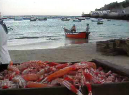 Proposta de redução da pesca