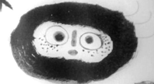 A Obra Gráfica de Joan Miró