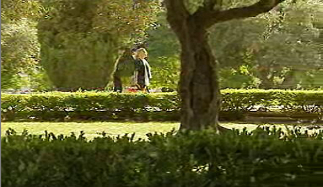 Vidas de Sal – Episódio 114