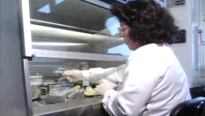 Medicamentos Antigripais