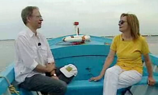 Perfil de Francisco Louçã