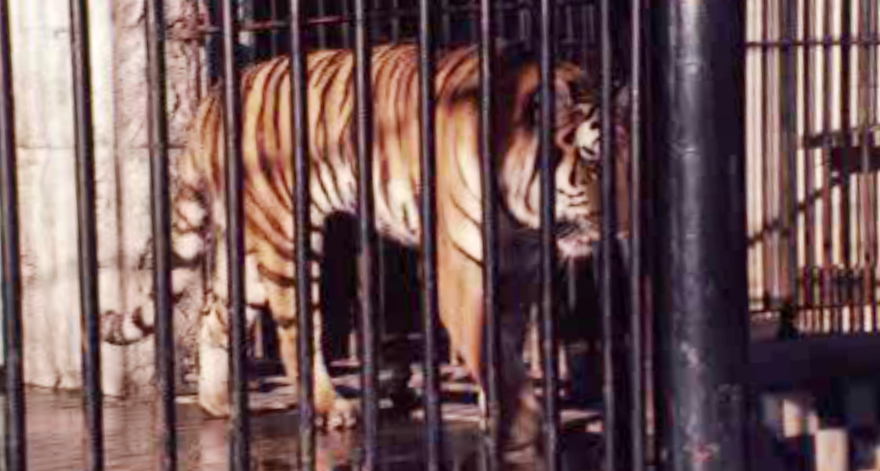 Situação do Jardim Zoológico de Lisboa