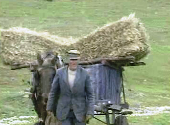 Desertificação no Alentejo