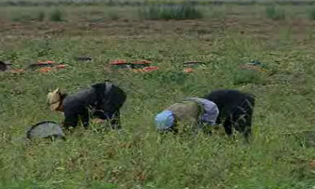 Filhos do Vento – Episódio 13