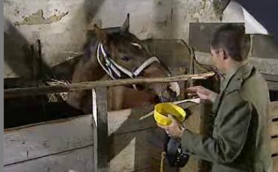 Filhos do Vento – Episódio 141