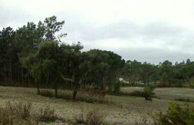 Filhos do Vento – Episódio 15