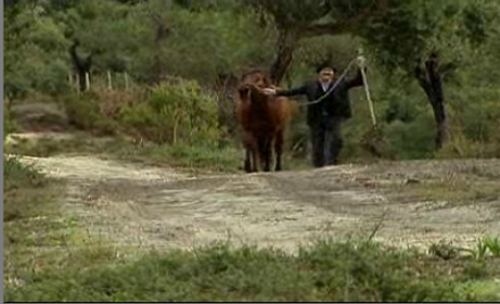 Filhos do Vento – Episódio 48