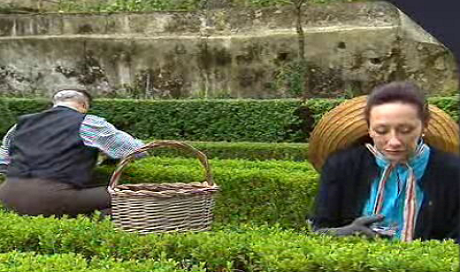 Filhos do Vento – Episódio 54