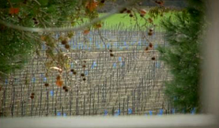 Herdade da Calada e Casa Marcolino