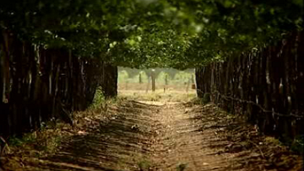 Fazenda de Santa Maria