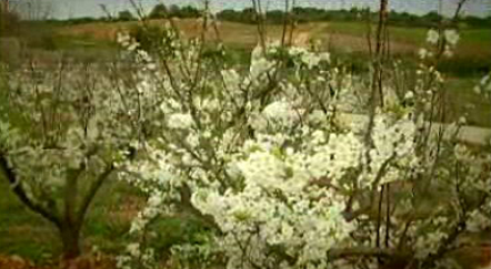 Monte da Casteleja e Quinta dos Vales