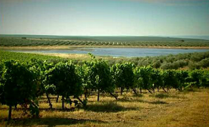Herdade Paço do Conde e Monte da Penha