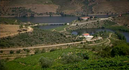 Quinta do Vale Joana e “Douro Boys”