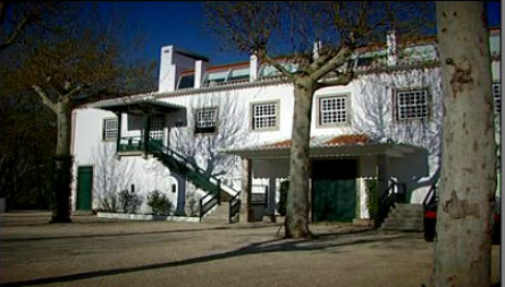 Wine Bar e Quinta da Pacheca