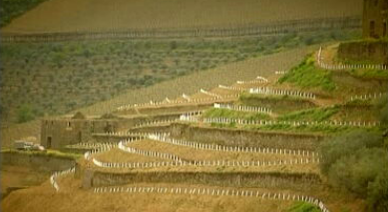 Douro Family Estates e Quinta das Bajancas