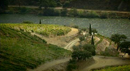 Quinta Nova de Nossa Senhora do Carmo e Museu do Vinho Bairrada