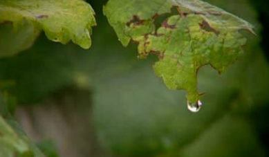 3ª Edição do Wine & Food Madeira