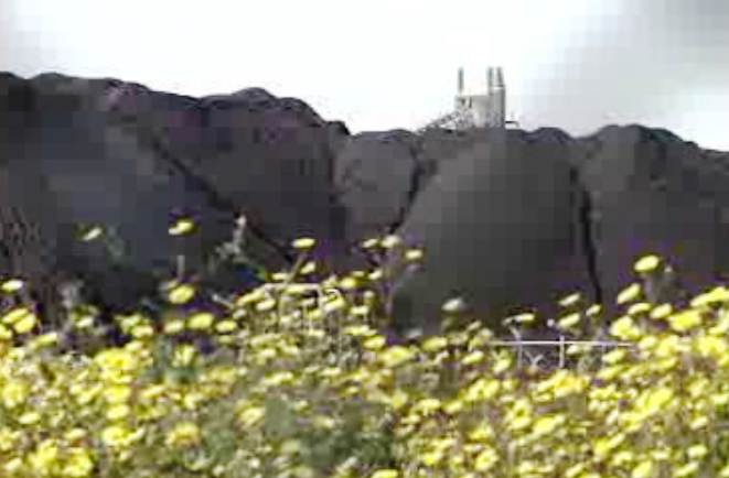 Ameaça para a saúde pública no Barreiro