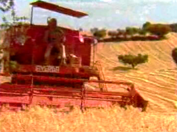 Indemnizações aos agricultores