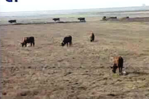 Risco de seca no Alentejo