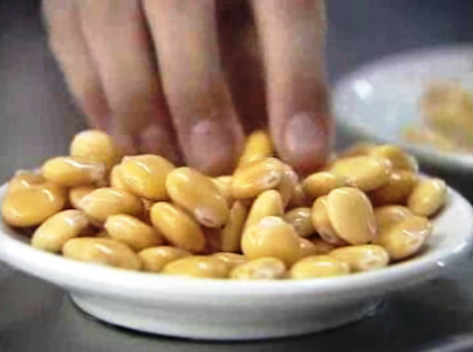 Congresso do Tremoço