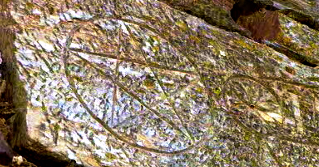 O Decreto – Parte II