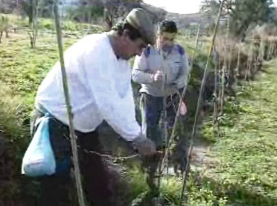 Benefícios sociais na agricultura