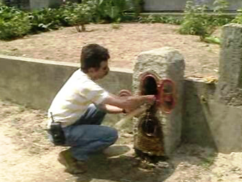 Consumo ilegal de água em Aveiro