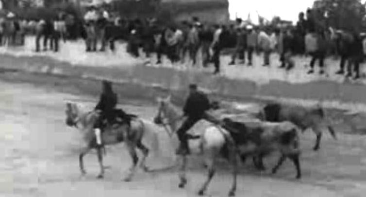 Campinos do Ribatejo